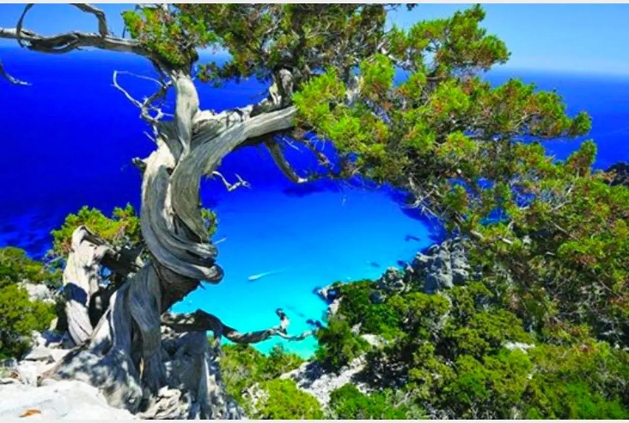 Vicol8 Casa Vacanze Dorgali Italy